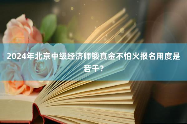 2024年北京中级经济师锻真金不怕火报名用度是若干？
