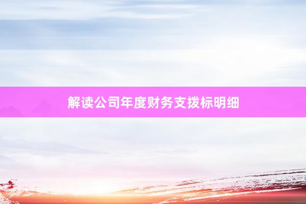解读公司年度财务支拨标明细