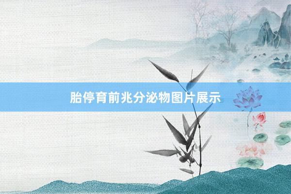胎停育前兆分泌物图片展示
