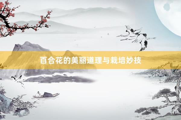 百合花的美丽道理与栽培妙技