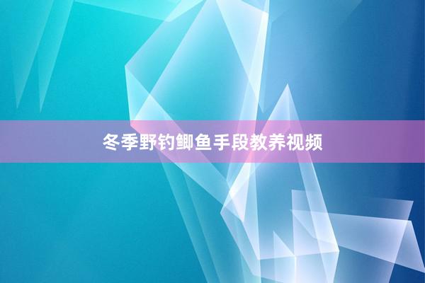 冬季野钓鲫鱼手段教养视频