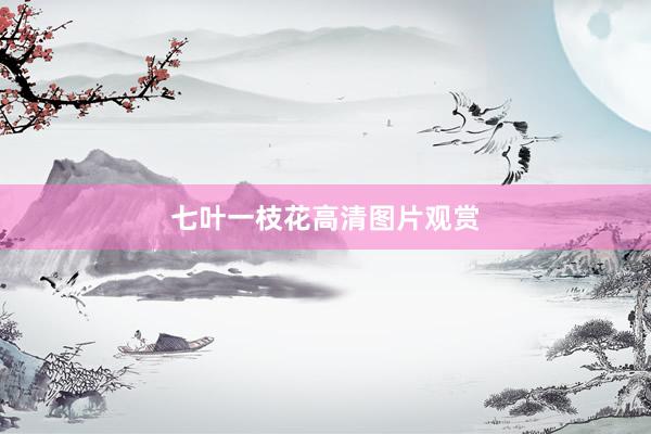 七叶一枝花高清图片观赏