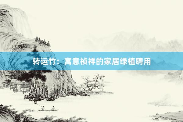 转运竹：寓意祯祥的家居绿植聘用